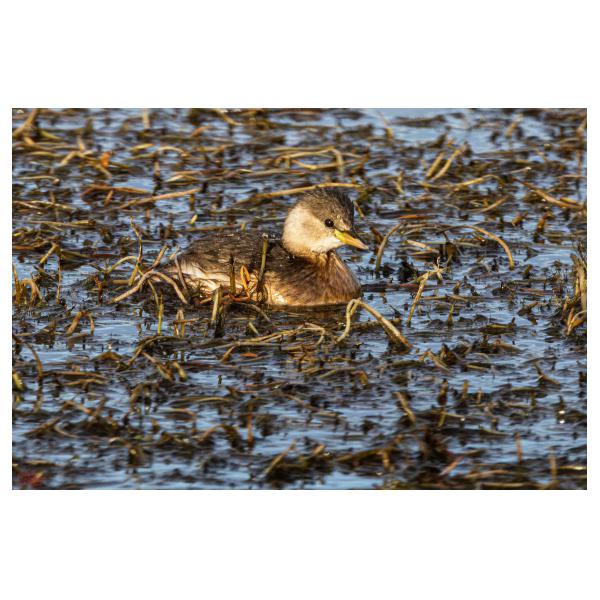 PHOTO84, CLUB, 84 , LUBERON